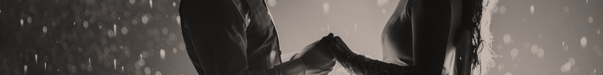 Banner Principal Casamento