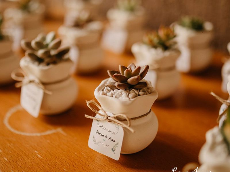 Leve Amor | Design e Suculenta