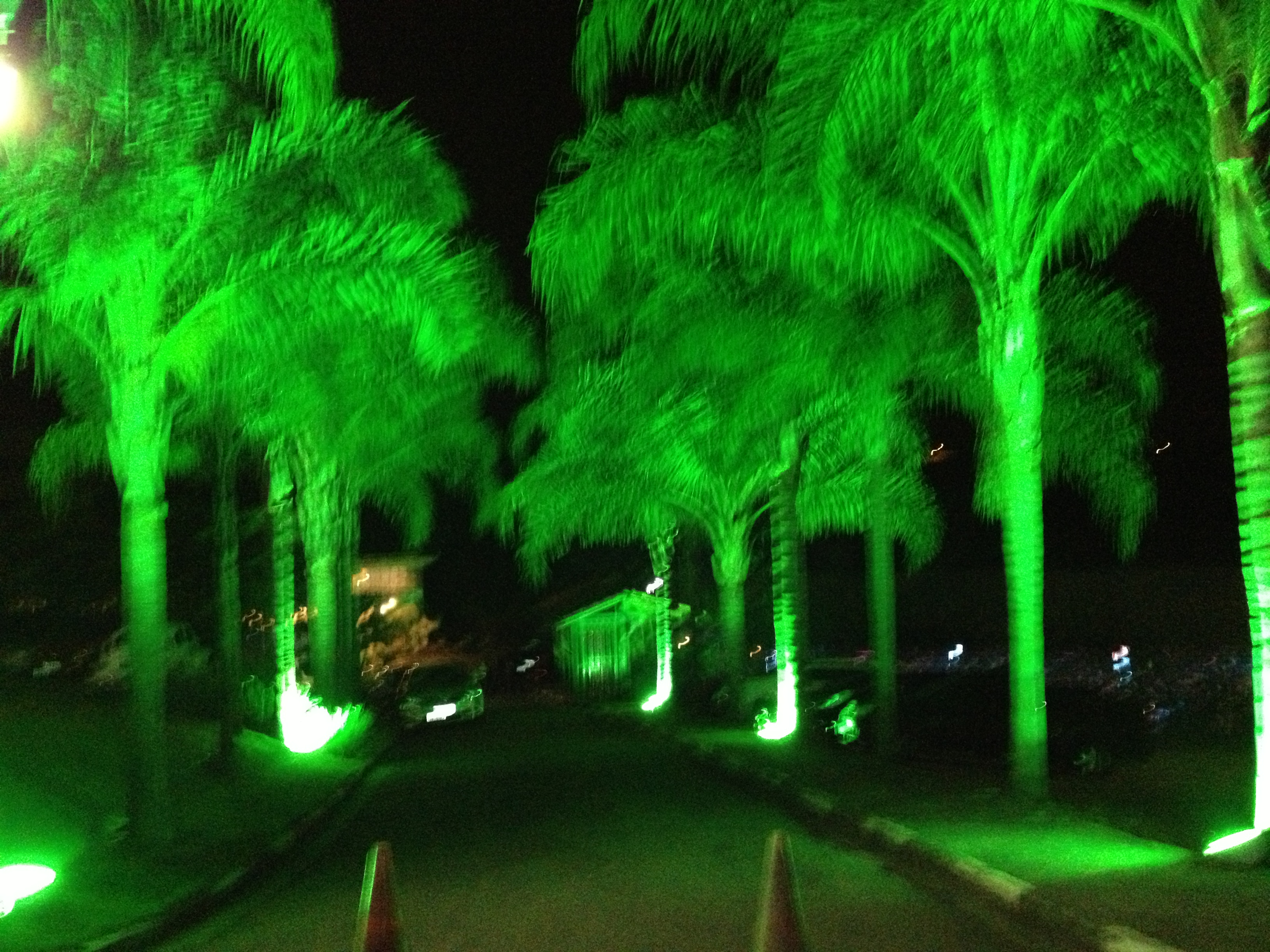 Foto 12