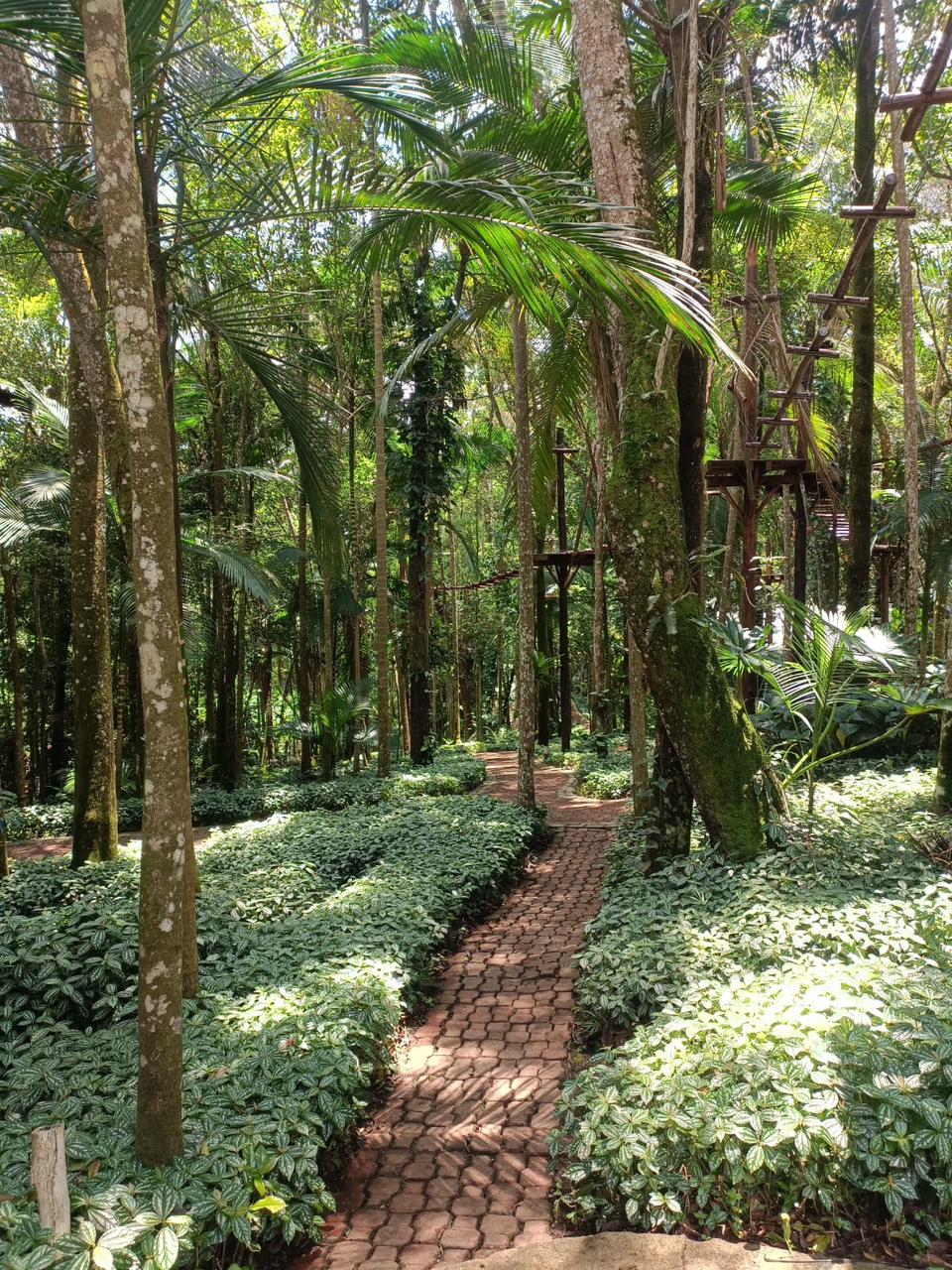 Foto 6