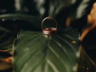 Marfim Fotografia